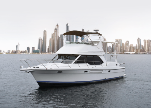 BAYLINER 40