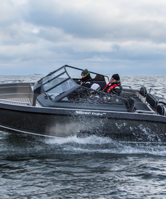 Eagle BRx