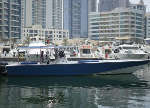 OCEAN BOAT 42