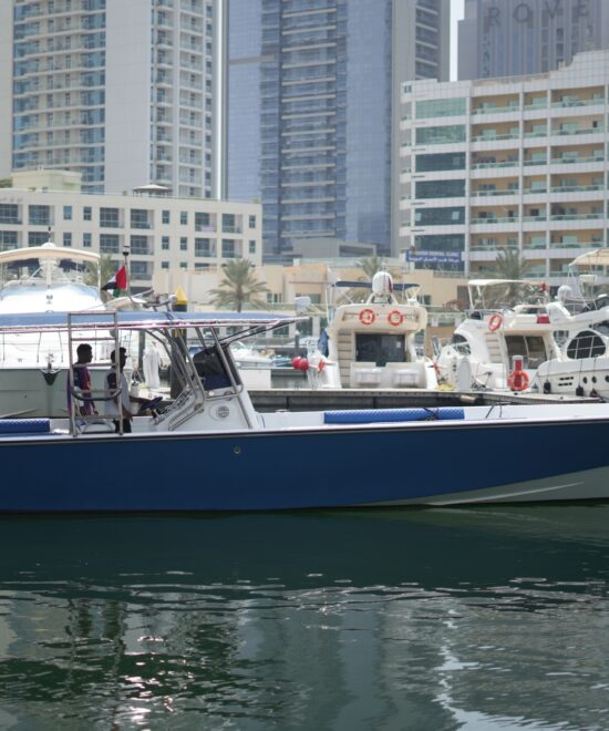 OCEAN BOAT 42